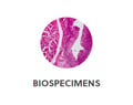 Biospecimens Button