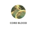 Cord Blood Button